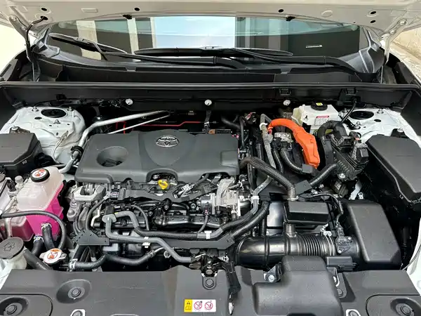Toyota Wildlander 2022