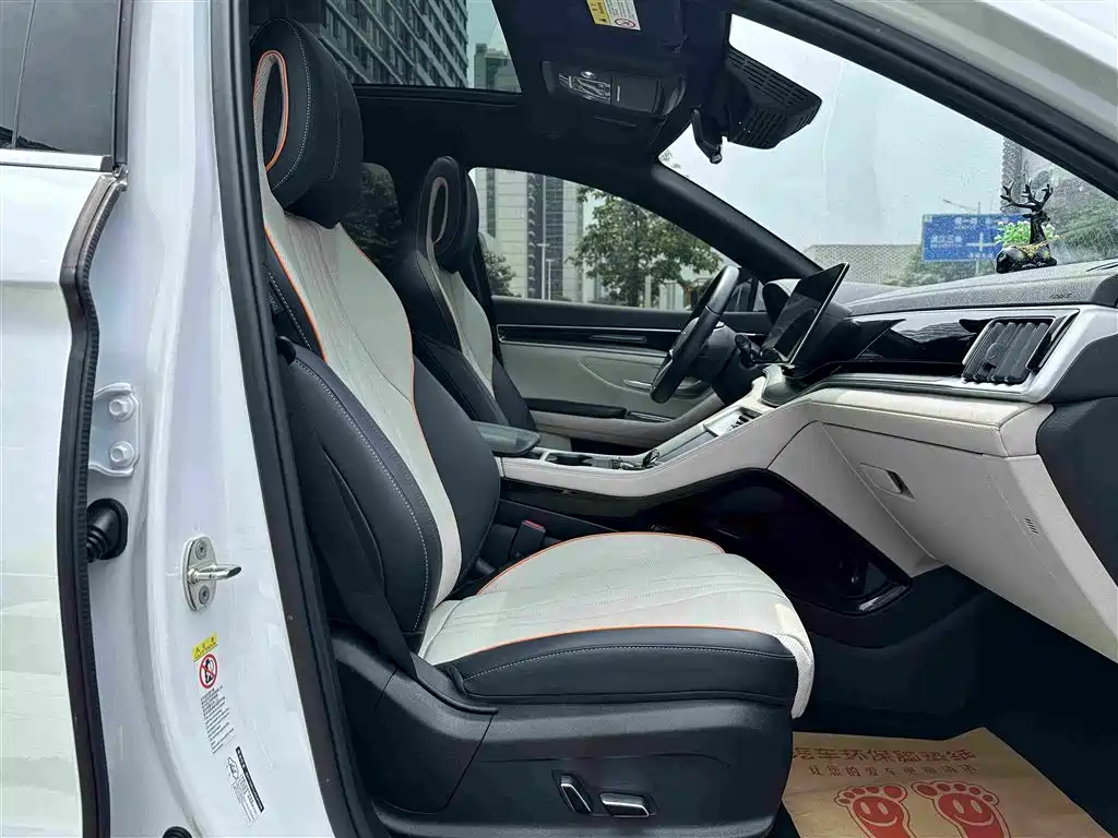 BYD PLUS New Energy 2023 — фото 6