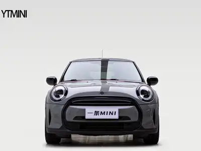 MINI MINI 2021
