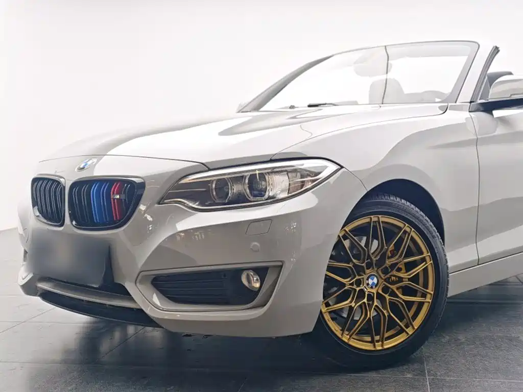 BMW 2 Series 2016 — фото 23