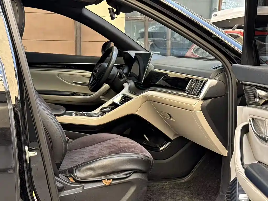 BYD PLUS New Energy 2022 — фото 13