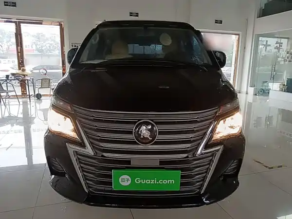 Dongfeng Lingzhi 2024