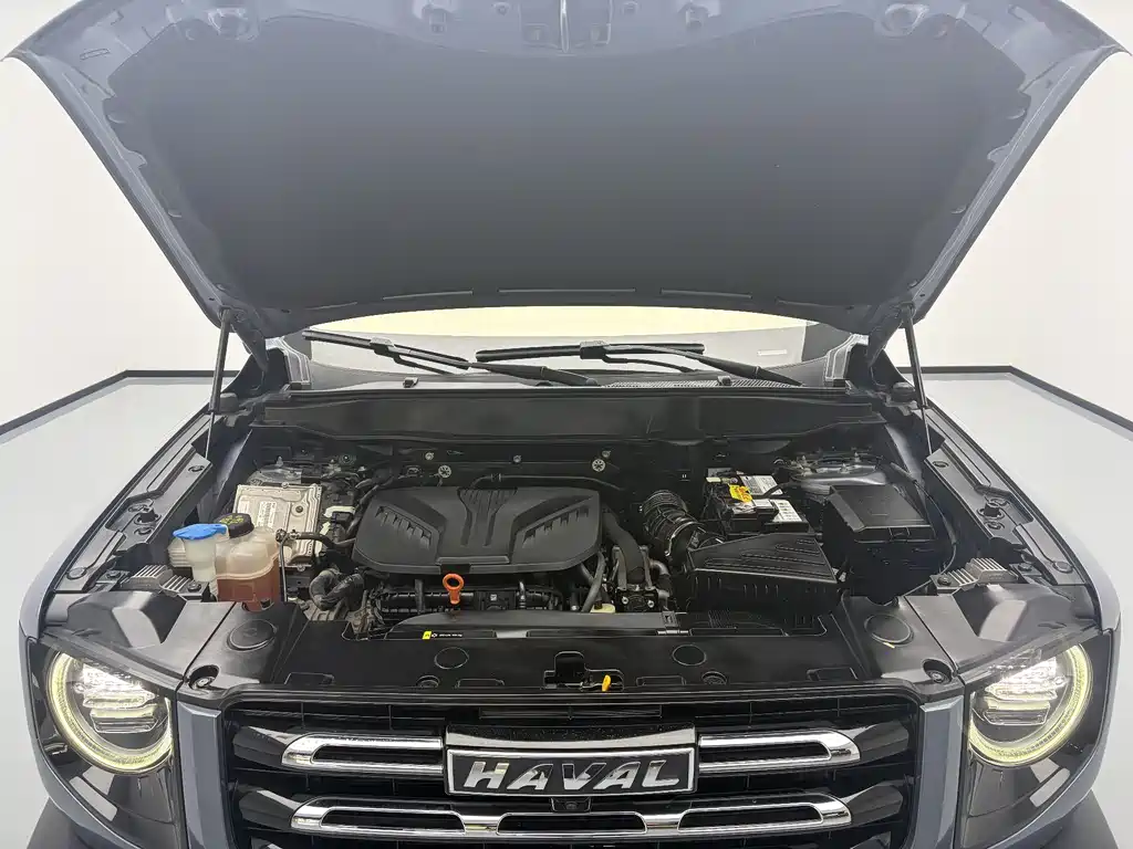 Haval Big Dog 2021 — фото 18
