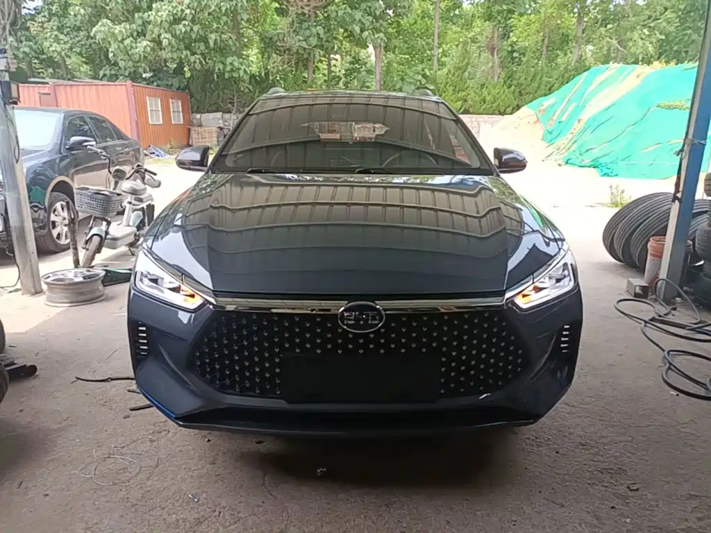 BYD e2 2020