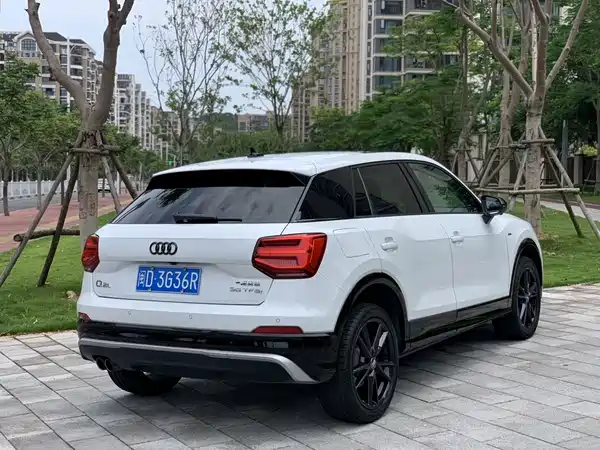 Audi Q2L 2020