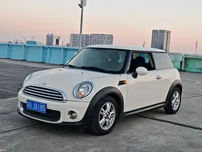 MINI MINI 2011
