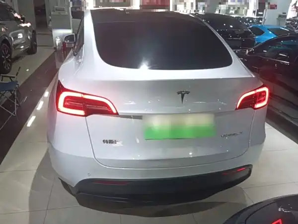Tesla Model Y 2021
