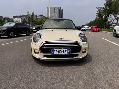 MINI MINI 2015