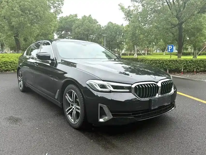 BMW 5 Series 2020