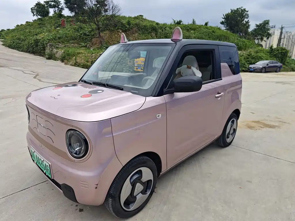 Galaxy Panda 2023