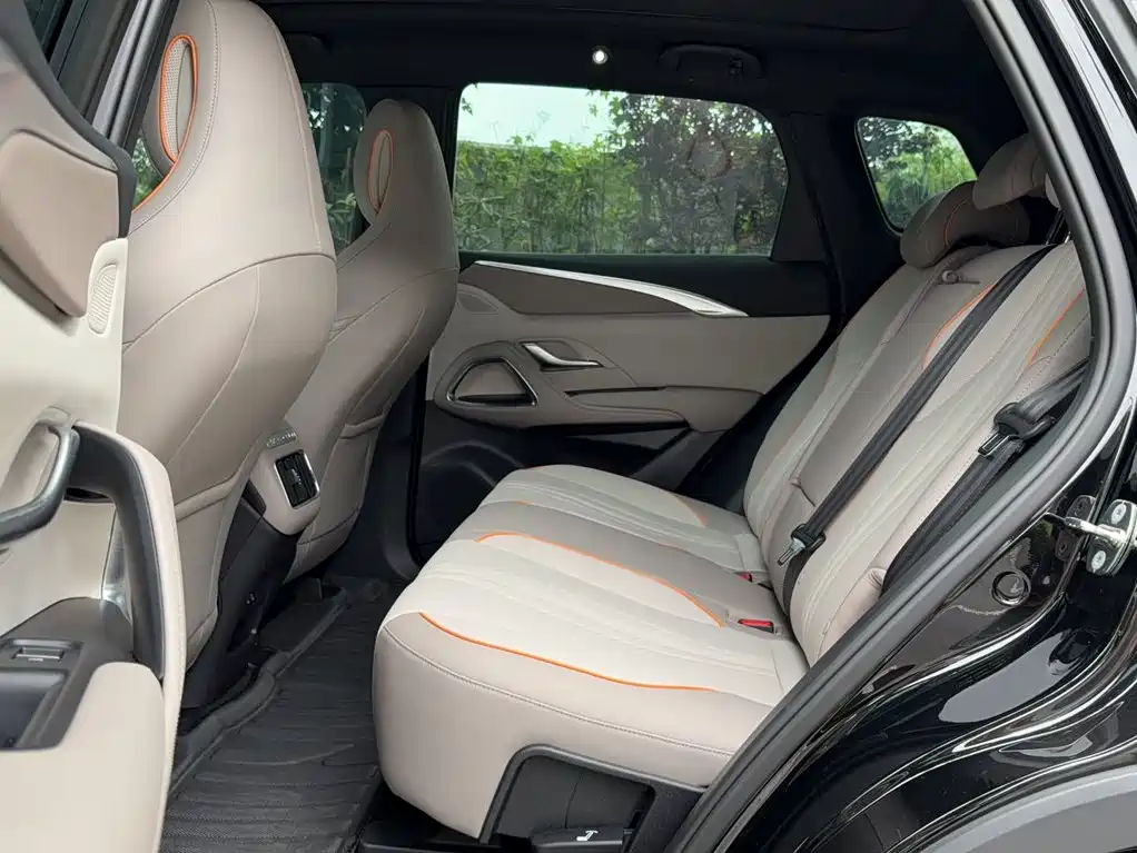 BYD Song Pro New Energy 2024 — фото 13