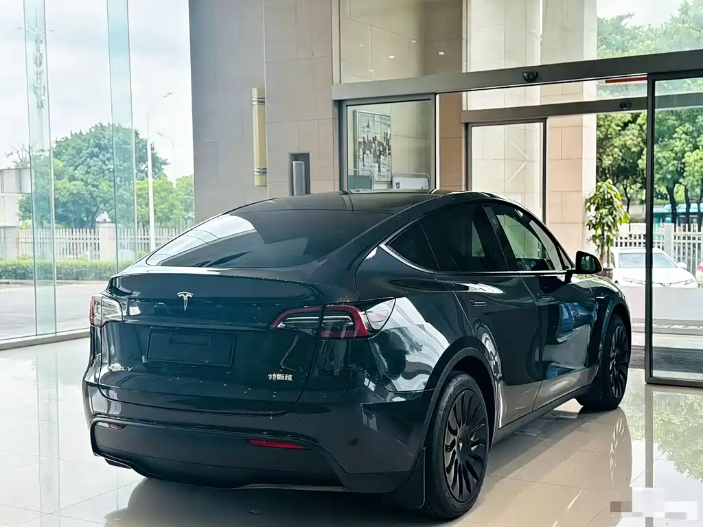 Tesla Model Y 2024 — фото 9
