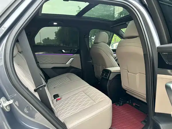 BYD Tang New Energy 2024