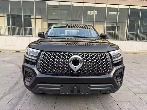 Great Wall Poer 2024
