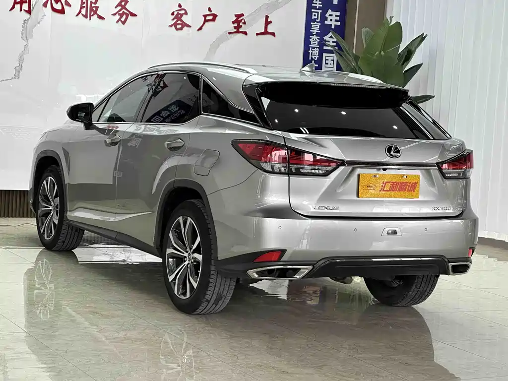 Lexus RX 2022 — фото 18