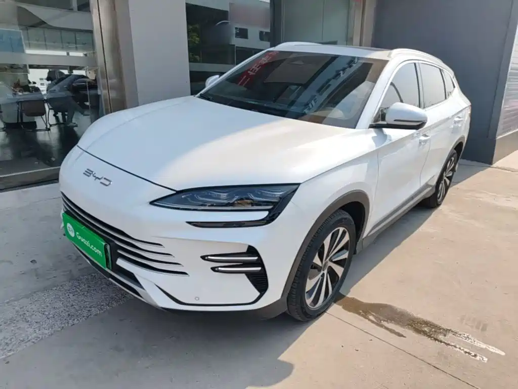 BYD PLUS New Energy 2024 — фото 2