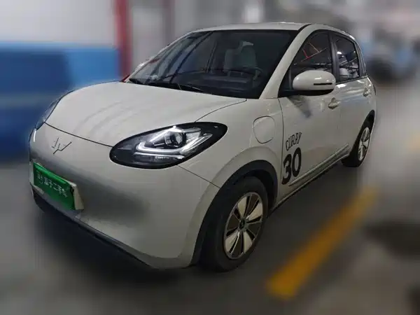 Wuling Bingo 2023