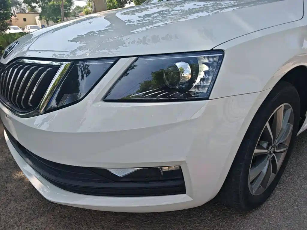 Skoda Octavia 2019 — фото 24