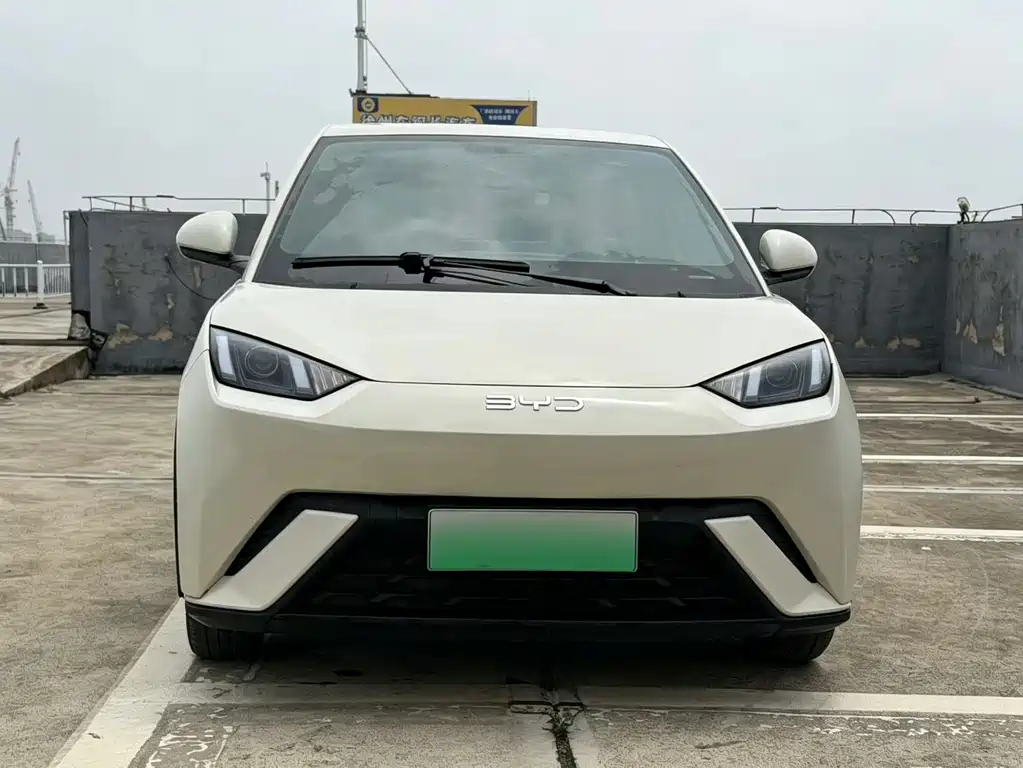 BYD Seagull 2024