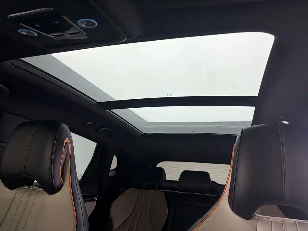 BYD Song PLUS New Energy 2024 — фото 17