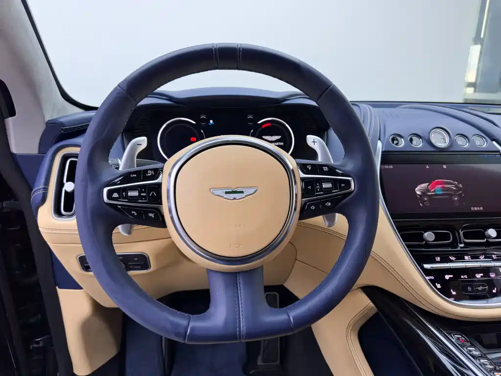 Aston Martin DBX 2021 — фото 14