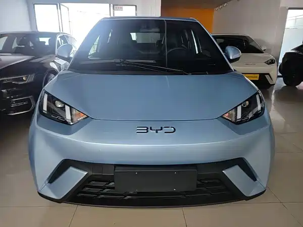 BYD Seagull 2024