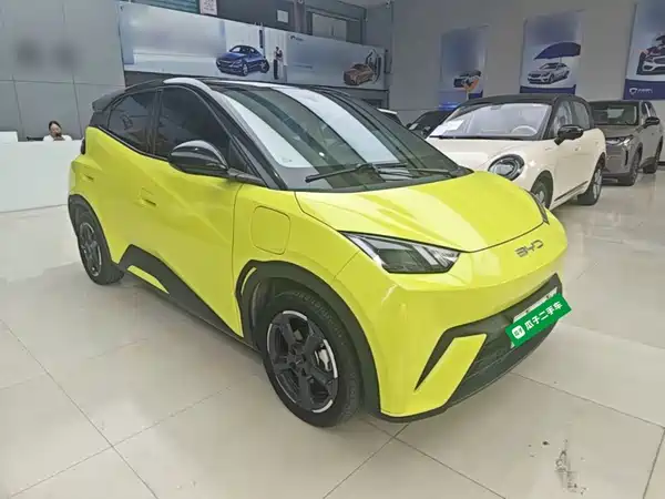 BYD Seagull 2024