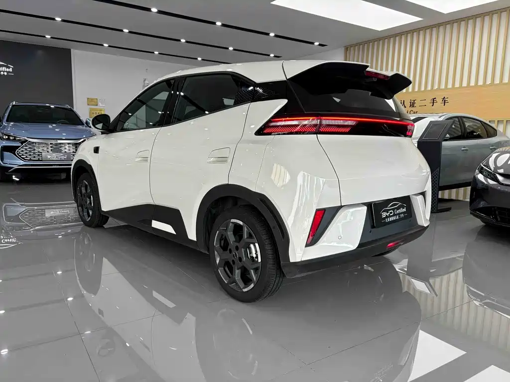 BYD Seagull 2025