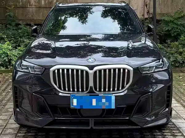 BMW X5 2024