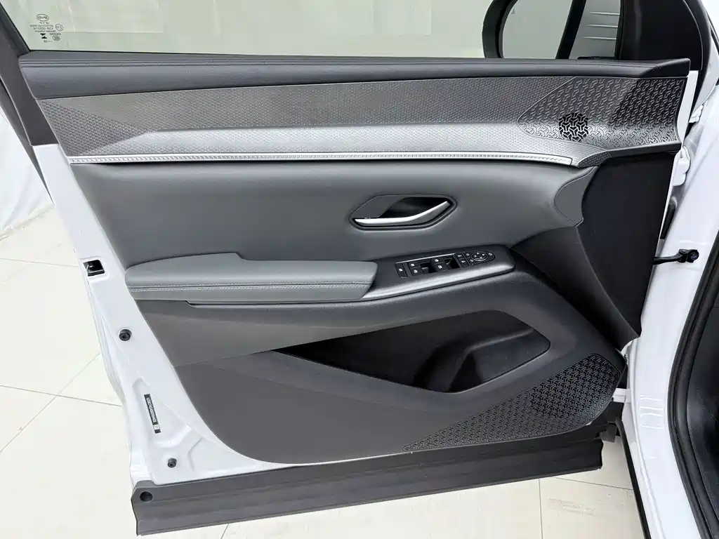BYD Song Pro New Energy 2025 — фото 16
