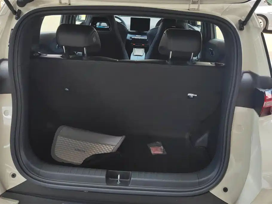 BYD Seagull 2024