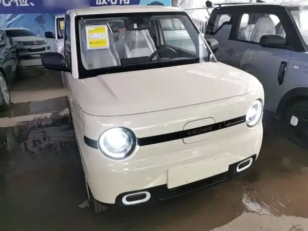 Geely Galaxy Panda 2026