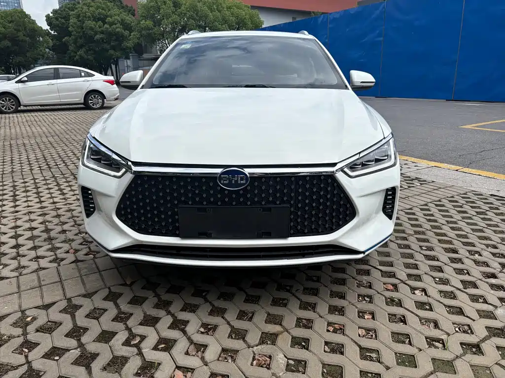 BYD e2 2020