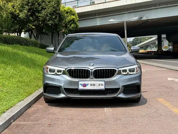 BMW 5 Series 2019