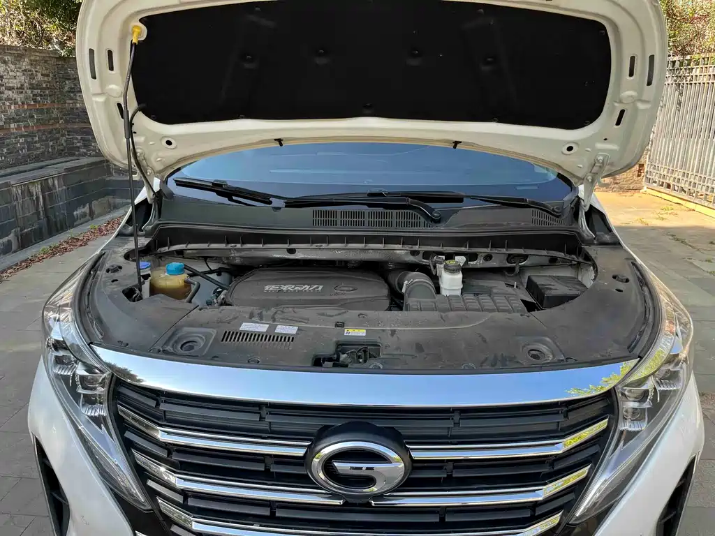 GAC Motor Trumpchi M8 2021 — фото 27