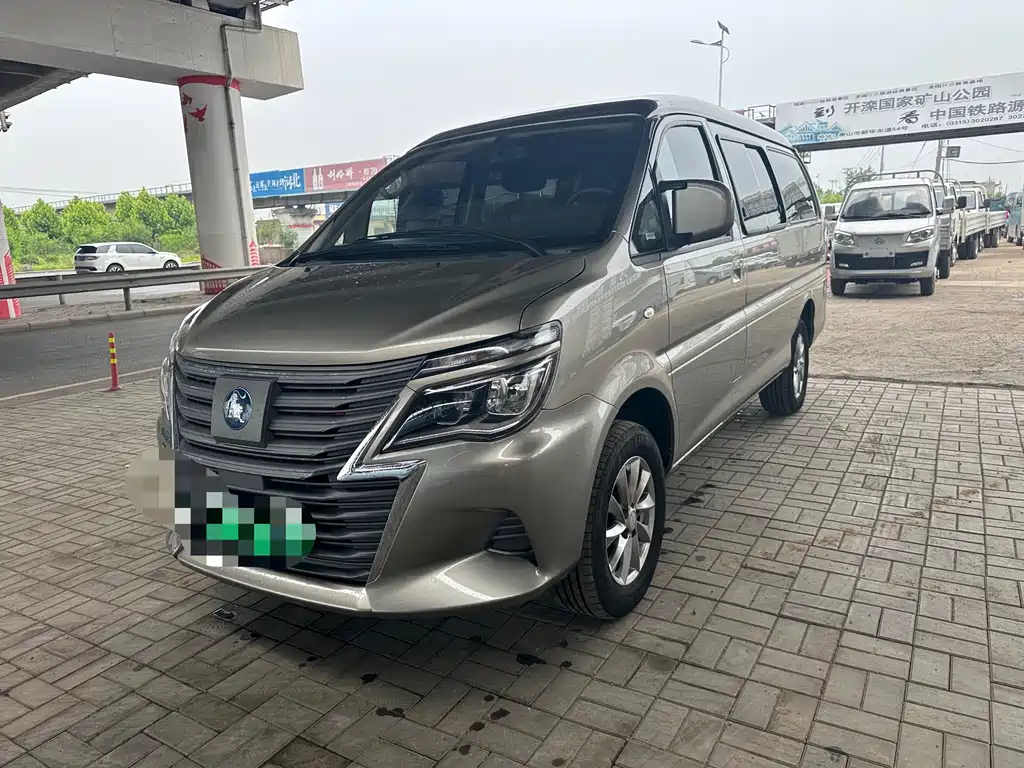Fengxing Lingzhi New Energy 2025