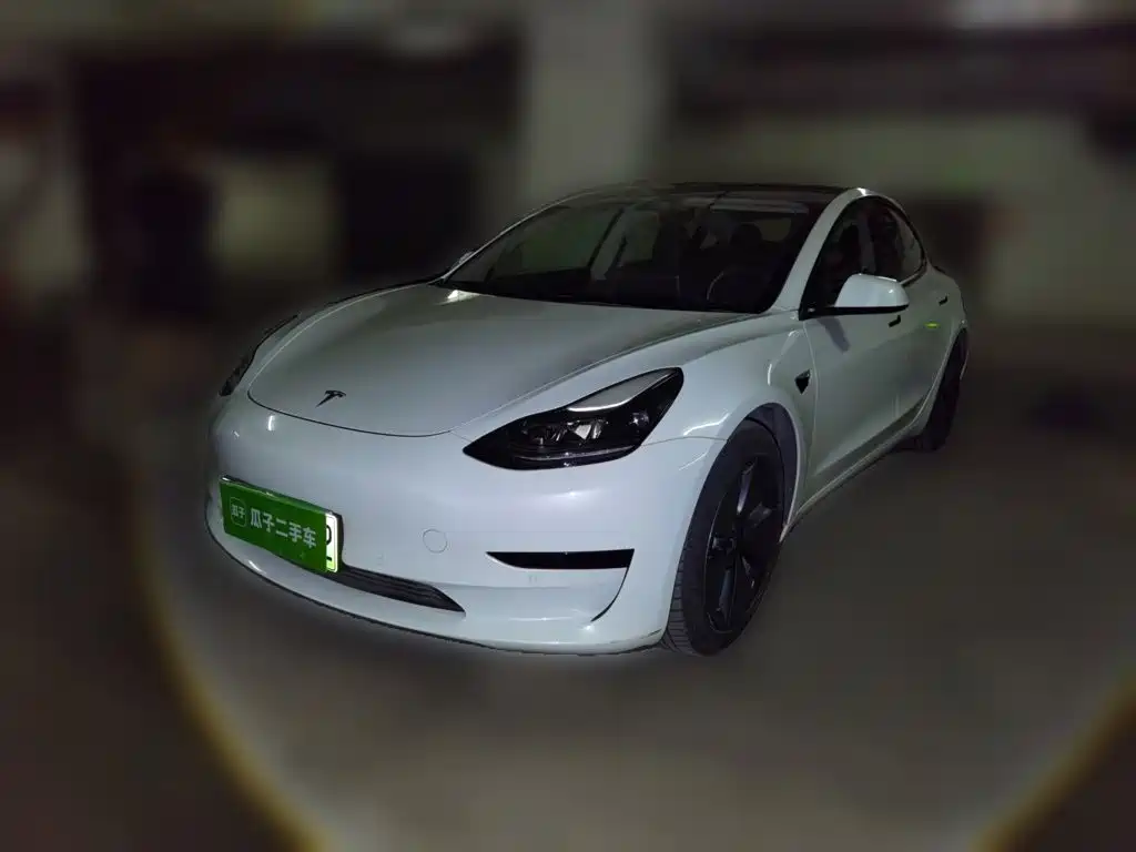 Tesla Model 3 2021