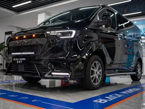 Ford Tourneo 2024