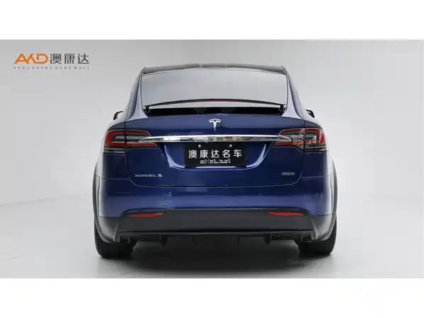 Tesla Model X 2019