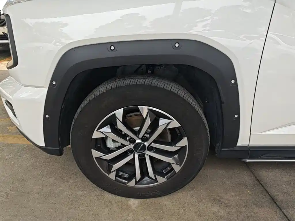 Haval Dog PLUS 2023 — фото 23