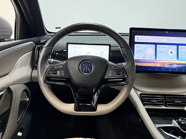 BYD Pro New Energy 2024 — фото 7