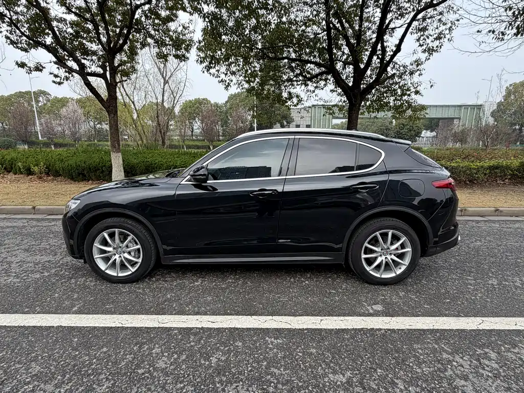 Alfa Romeo Stelvio 2019 — фото 13