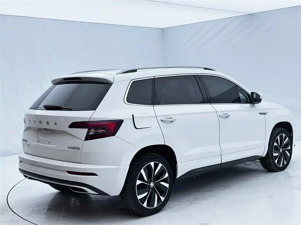 Skoda Karoq 2022 — фото 6