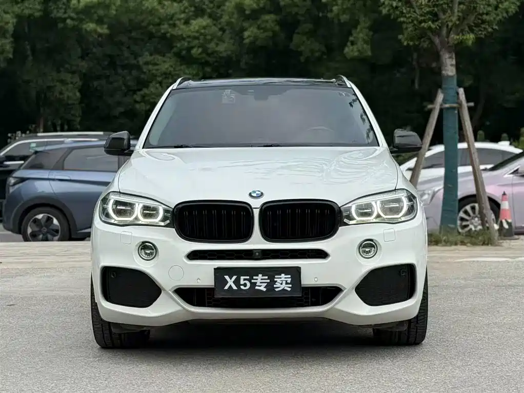 BMW X5 2015 — фото 2