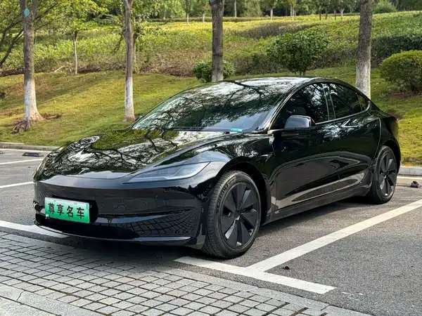 Tesla Model 3 2024