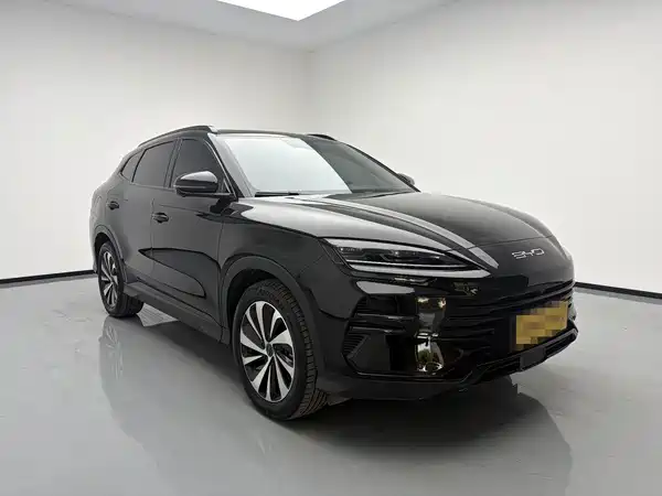 BYD Song PLUS New Energy 2024