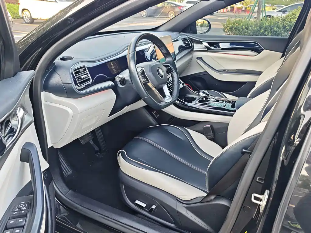 BYD Qin PLUS 2022 — фото 10