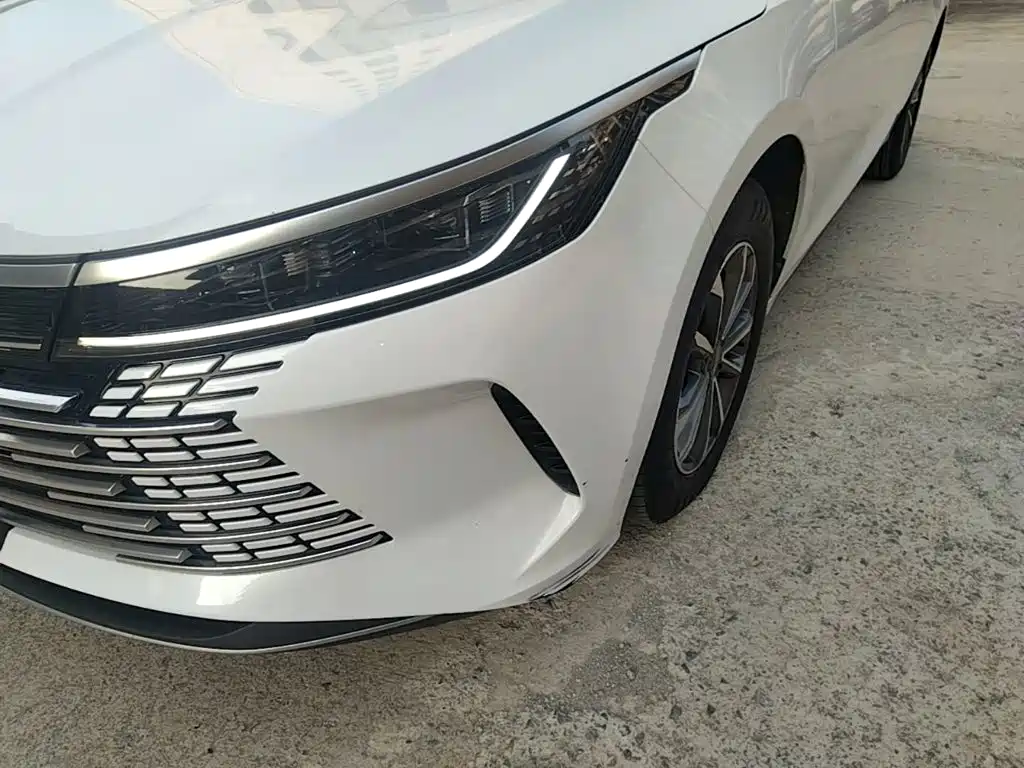 BYD Destroyer 05 2024 — фото 24
