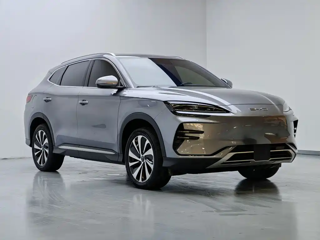 BYD PLUS New Energy 2024 — фото 3