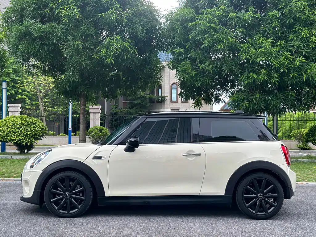 MINI MINI 2019